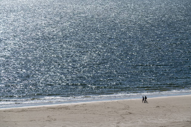 Stroller on the beach near Zoutelande province Zeeland, peninsula Walcheren, Netherlands, beach Zeeland