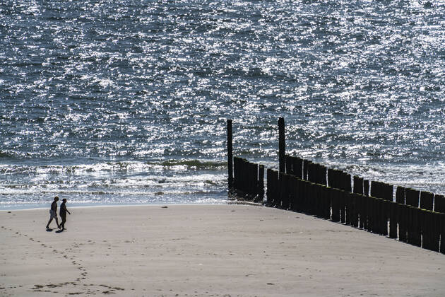Stroller on the beach near Zoutelande, breakwater, Zeeland province, Walcheren peninsula, Netherlands, Zeeland beach