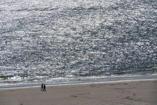 Stroller on the beach near Zoutelande province Zeeland, peninsula Walcheren, Netherlands, beach Zeeland