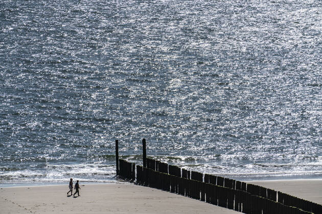 Stroller on the beach near Zoutelande, breakwater, Zeeland province, Walcheren peninsula, Netherlands, Zeeland beach