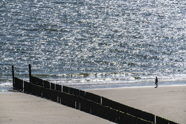 Stroller on the beach near Zoutelande, breakwater, Zeeland province, Walcheren peninsula, Netherlands, Zeeland beach