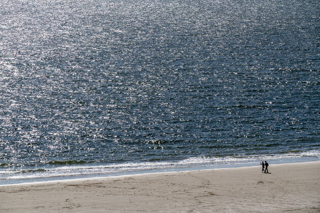 Stroller on the beach near Zoutelande province Zeeland, peninsula Walcheren, Netherlands, beach Zeeland
