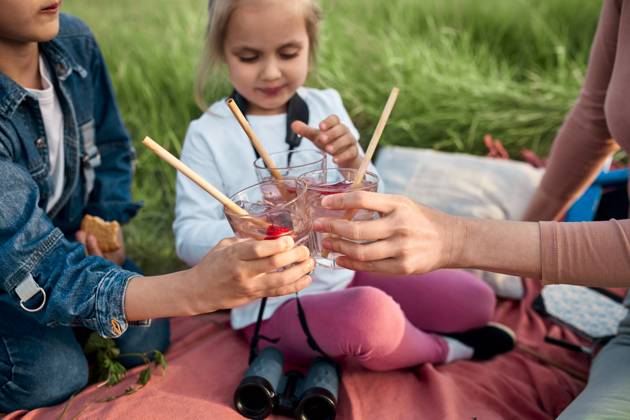 Mother and children toasting infused water glasses on picnic in field model released, Symbolfoto, ZEDF04566
