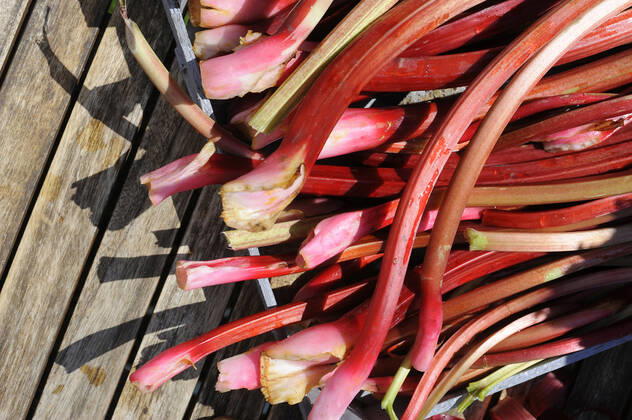Heap of freshly peeled rhubarb stalks, GISF00873