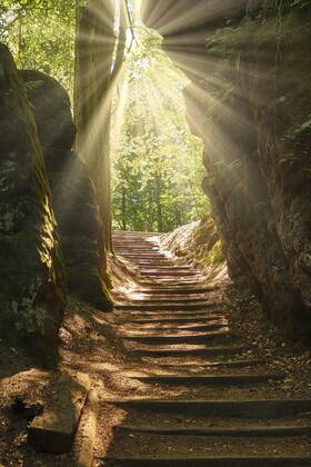 IMAGO Creative: Sommer, In den Bergen Saxon Switzerland, As Saxon Switzerland, the German part of the Elbe Sandstone Mountains in Saxony is called., As Saxon Switzerland, the German part of the Elbe Sandstone Mountains in Saxony is called., 02.05.2020, Copyright: xFoto-Ruhrgebietx Panthermedia28387808.jpg