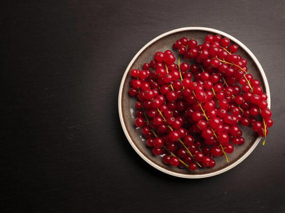 Organic red currant on a ceramic plate on a dark slate background, view from above, healthy food concept
