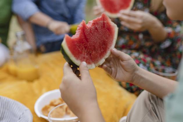 Boy holding watermelon sitting at park model released, Symbolfoto, JCCMF06838