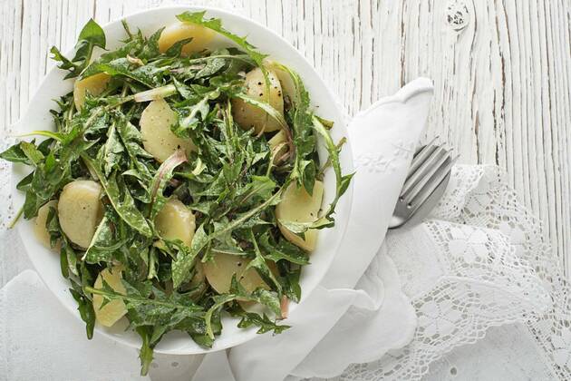  Dandelion salad, Healthy dandelion salad with potatoes on wooden background close up, 30.03.2021, Copyright: xzidix Panthermedia29740314.jpg