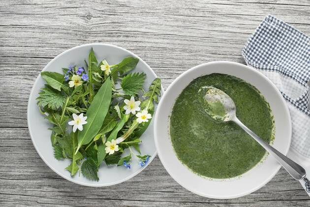 Healthy cream soup, Healthy green soup with fresh spring plants. Dandelion, wild garlic, flowers and nettle ingredients, 30.03.2021, Copyright: xzidix Panthermedia29740319.jpg