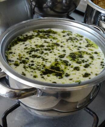  Turkish style plateau soup,soup made with strained yogurt, yogurt soup made with mint, Turkish style plateau soup,soup made with strained yogurt, yogurt soup made with mint, 23.08.2021, Copyright: xnhatipoglux Panthermedia30672171.jpg