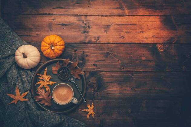  Autumn flatlay with cup of coffee, pumpkins and cuddle blanket, Autumn flatlay with cup of coffee, pumpkins and cuddle blanket on wooden background, Autumn flatlay with cup of coffee, pumpkins and cuddle blanket on wooden background, 09.11.2021, Copyright: xBrebcax Panthermedia30884941.jpg