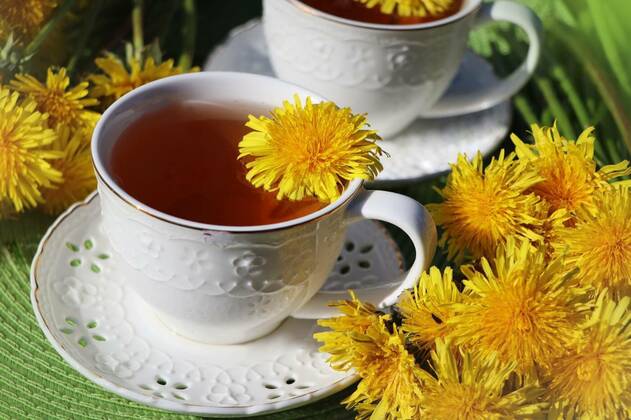  Dandelion tea with a fresh yellow flower inside a cup. Vitamin drink. Dandelion herbal tea for health., Dandelion tea with a fresh yellow flower inside a cup. Vitamin drink. Dandelion herbal tea for health., Dandelion tea with a fresh yellow flower inside a cup. Vitamin drink. Dandelion herbal tea for health., 23.01.2022, Copyright: xVaivirgax Panthermedia31072542.jpg