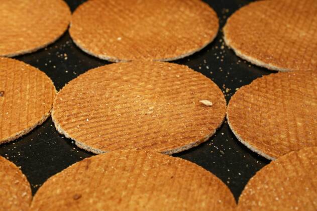  Dutch stroopwafel waffles cookies on baking pan, Close up many freshly baked traditional round shaped sweet Dutch stroopwafel (syrup waffles) cookies on baking pan, high angle view, Close up many freshly baked traditional round shaped sweet Dutch stroopwafel (syrup waffles) cookies on baking pan, high angle view, 28.01.2022, Copyright: xBreakingTheWallsx Panthermedia31084963.jpg