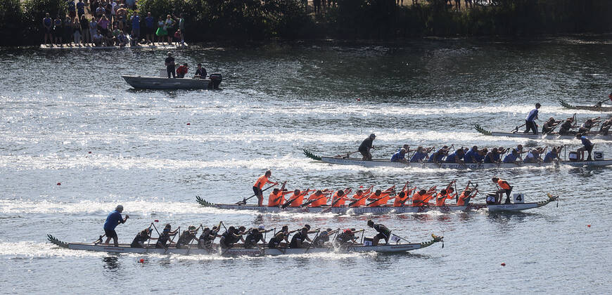 Dragon Boat Cup 2022 at the Allersee Wolfsburg, Impresions Wolfsburg