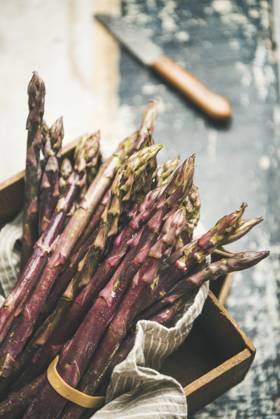 Fresh raw uncooked purple asparagus, selective focus Seasonal harvest produce. Fresh raw uncooked purple asparagus over wooden tray background, selective focus, vertical composition. Local market food concept Copyright: xAnnaxIvanovax AI290618-6