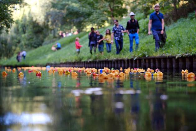 Duck race on the small Berlin river Panke on the occasion of the music festival Panke Parcours in the Berlin district Wedding Duck race on the small Berlin river Panke on the occasion of the music festival Panke Parcours in the Berlin district Wedding snapshot photography K M Krause