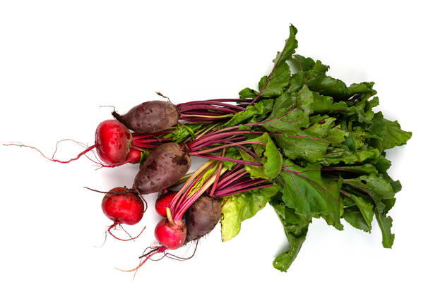 Regional seasonal vegetables beet and ring beet with green on white background Germany