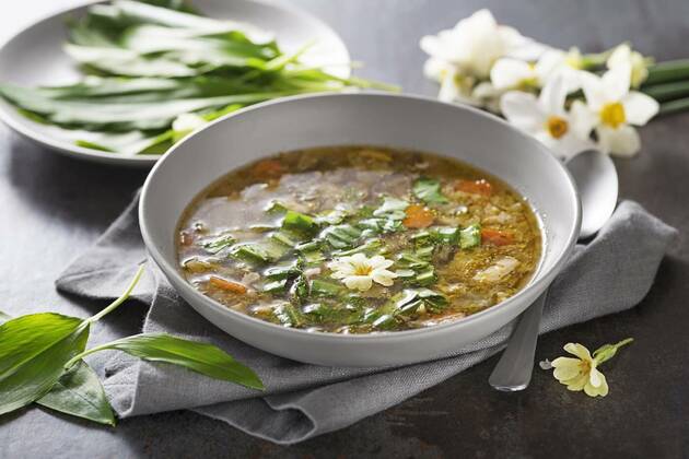  Soup vegetable, Vegetable soup with fresh wild garlic leaves close up. Soup with seasonal vegetables. Healthy spring detox food ingredients., Vegetable soup with fresh wild garlic leaves close up. Soup with seasonal vegetables. Healthy spring detox food ingredients., 29.04.2022, Copyright: xzidix Panthermedia31374217.jpg