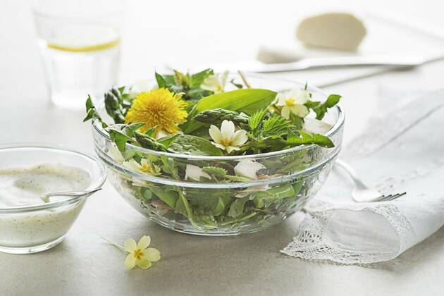 Spring salad, Spring salad with dandelion, asparagus, wild garlic, flowers, nettle and cream cheese. Healthy spring detox food ingredients., Spring salad with dandelion, asparagus, wild garlic, flowers, nettle and cream cheese. Healthy spring detox food ingredients., 29.04.2022, Copyright: xzidix Panthermedia31374221.jpg