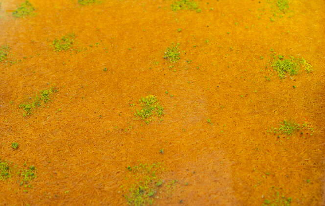 IMAGO Creative, Food, Künefe RECORD DATE NOT STATED Turkish traditional dessert Kadayif baked in syrup served with nut powder , 37229568.jpg, Turkish dessert, appetizing, cooking, cream, cuisine, culture, delicious, delight, dessert, eating, food, foodlovers, gastronomy, gourmet, ingredient, kadayif, kanafeh, knafeh, kunafa, kunafah, kunafeh, kunefe, luxury, nuts, organic, ottoman, p recipe, pastry, pistachio, snack, sugar, sweet, sweet food, sweets, syrup, tasty, tatli, tatlisi, traditional, turkey, turkish, turkish dessert, turkish culture, turkish sweet, yummy