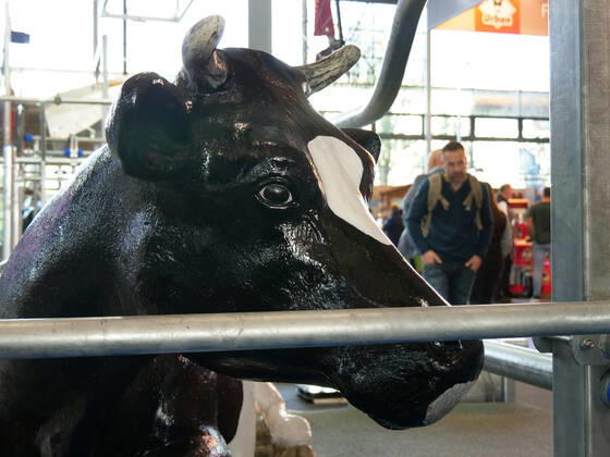 Impressions and tour of the EuroTier 2022 in the Hanover Fair from 15 11 18 11 2022 EuroTier 2022