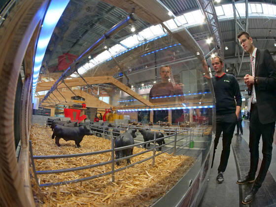 Impressions and tour of the EuroTier 2022 in the Hanover Fair from 15 11 18 11 2022 EuroTier 2022