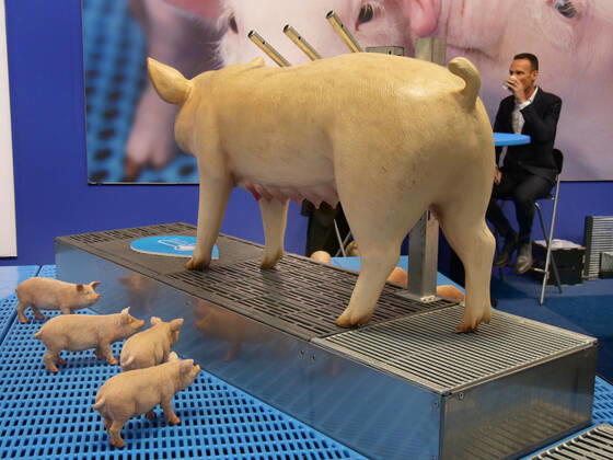 Impressions and tour of the EuroTier 2022 in the Hanover Fair from 15 11 18 11 2022 EuroTier 2022