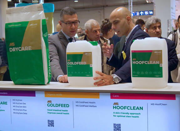 Impressions and tour of the EuroTier 2022 in the Hanover Fair from 15 11 18 11 2022 EuroTier 2022