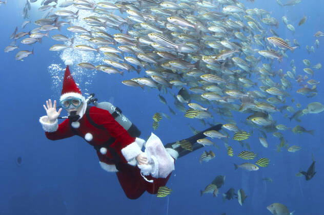 A diver in Santa costume swims with fish in a large tank during an underwater performance for the upcoming Christmas party at Hakkeijima Sea Paradise Yokohama, 17 12 2022. Foto:xK.xNarax xFuturexImage