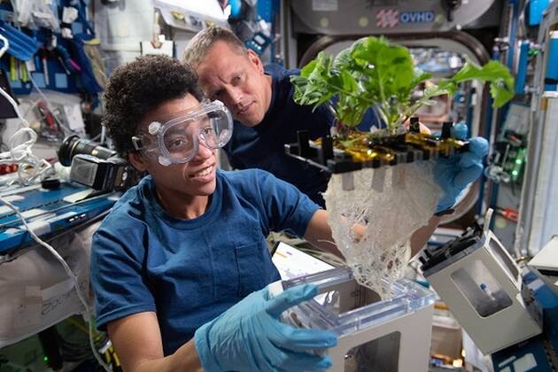 Bilder von der Internationalen Raumstation ISS **VIDEO AVAILABLE: CONTACT INFO@COVERMG.COM TO RECEIVE** This image shows: NASA astronauts Jessica Watkins and Bob Hines work on XROOTS, which uses the space station?s Veggie facility to test hydroponic and aeroponic techniques to grow plants rather than using traditional soil. These techniques could enable large-scale crop production for future space exploration. NASA have released some of the best scientific images taken on the International Space Station in 2022, as it continues its scientific journey orbiting over 200 miles above the Earth?s surface. Spacecraft carried crew from around the world to and from the space station, where they participated in and supported hundreds of scientific investigations and technology demonstratio Copyright: xx 52310397 EDITORIAL USE ONLY. NOT FOR USE BY NEWSPAPERS BASED IN THE UK.