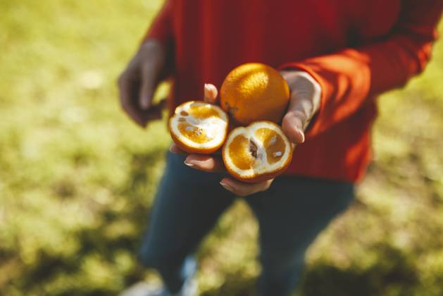 Hand of mature woman holding orange fruits model released, Symbolfoto property released, JOSEF15594