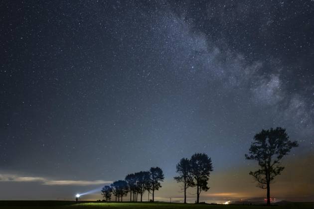 Grove of trees with Photographer and Milky Way with Starry sky, Oberguenzburg, east allgäu, Bavaria, Germany, Europe Copyright: imageBROKER RobertxSeitz ibxsei08960954.jpg ,model released, Symbolfoto ,property released