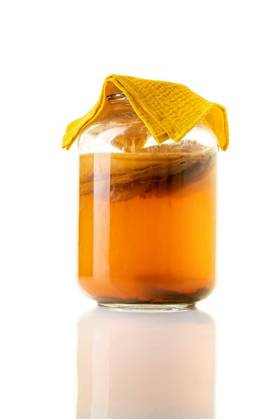  Jar of fermenting kombucha isolated on white, Jar of fermenting kombucha isolated on white, Jar of fermenting kombucha isolated on white, 22.12.2022, Copyright: xLightpoetx Panthermedia33350930.jpg