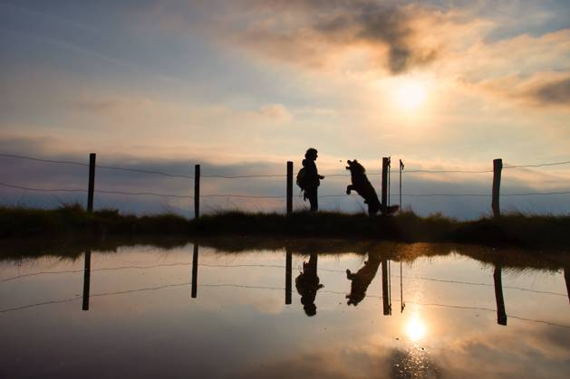 a Woman gives their Dog at a Walking tour in the Bergen at Sunset a Cookie 1104301640 ,model released, Symbolfoto