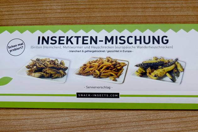 edible insects edible insects, 27 01 2023, Borkwalde, Brandenburg, In a package there are edible insects
