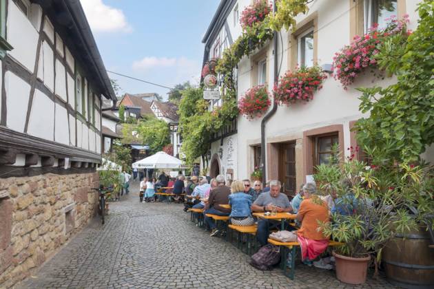 Wine Festival at Wine village track cells, south palatinate, Palatinate, Rhineland Palatinate, Germany, Europe Copyright: imageBROKER/AnnaReinert iblann09008177.jpg