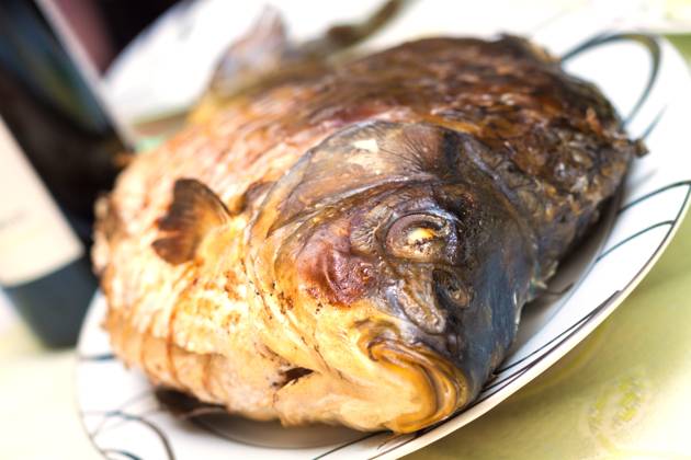 IMAGO Creative, Food, Karpfen-Saison Baked carp in a plate with wine in background Copyright: xValentinxSimeonovx xDesignxPicsx , 32063473 Copyright: ReginaxJersovax xDesignxPics 32063473