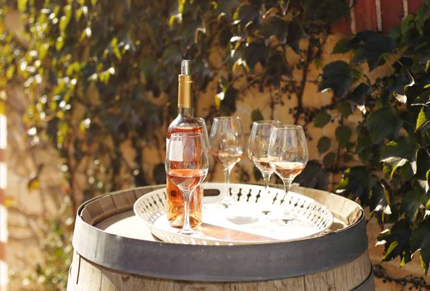 Many glasses and bottle of rose wine in the autumn vineyard Many glasses and bottle of rose wine in the autumn vineyard, degustation concept Copyright: xZoonar.com DashaxPetrenkox 17546380