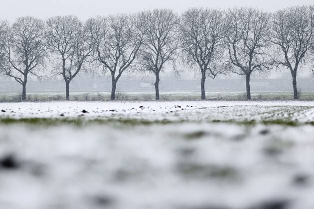 Snowfall around Cologne leads to accidents and traffic jams On Wednesday, the Rhineland experienced a winter onset with snow and icy conditions In the picture, a snow-covered field with an avenue of bare trees Topic image, symbol image Cologne, 08 03 2023 NRW Germany Copyright: xChristophxHardtx