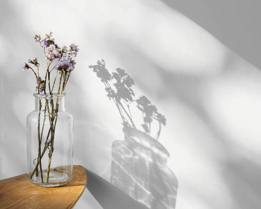 RECORD DATE NOT STATED abstract minimal concept flowers shadows. Beautiful photo , 39577234.jpg, background, shadow, abstract, design, minimal, flower, wall, colorful, decoration, green, texture, art, plant, concept, white, summer, fashion, tropical, creative, light, wallpaper, garden, leaf, nature, pattern, hipster, pastel, idea, trend, spring, side, natural, space, jungle, hawaii, outside, isolated, print, life, exotic, home, window, minimalism, style, yellow, cabin, ancient, decor, vintage, copy