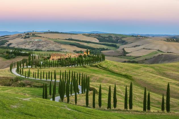 Italy, Tuscany, Treelined country road in summer at dawn, FOF13532