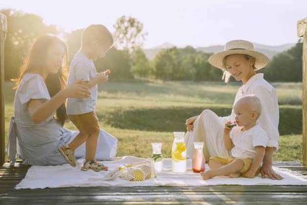 Women spending time together with sons at picnic model released, Symbolfoto, NDEF00389