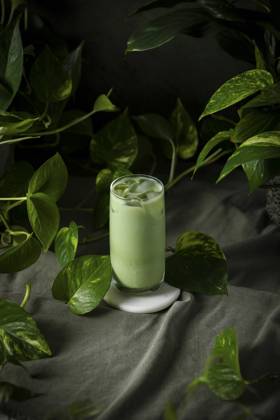 A healthy Iced Matcha with Houseplants A healthy Iced Matcha with Houseplants Copyright: xKaraxChinx KC300123-134