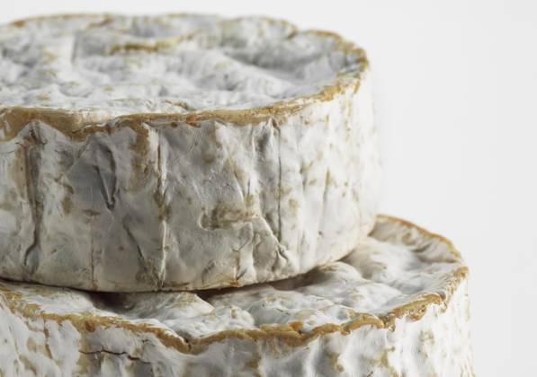 Camembert, French Cheese from Cow s milk from the Normandy Copyright: imageBROKER G.xLacz ibllag08234200.jpg