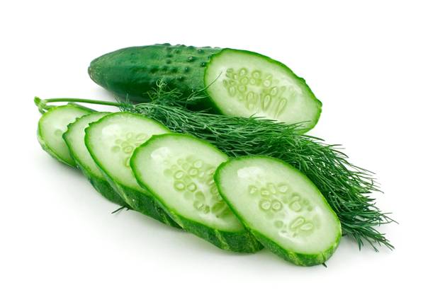 IMAGO Creative, Food, Gurkensalat sliced cucumber and dill isolated on white background Copyright: xSergeixVinogradovx xDesignxPicsx , 31169404 Copyright: SergeixVinogradovx xDesignxPics 31169404