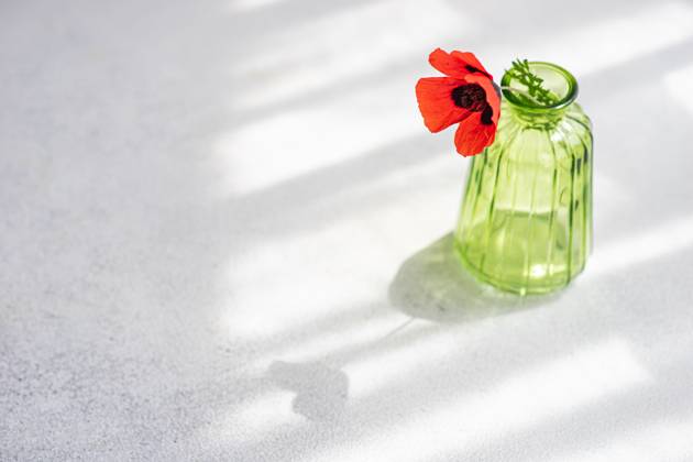 From above interior decor glass vase with red poppy flower in white table on sunny day AnnaBogush_ID14238_428548_002 Copyright: xAnnaxBogushx Model Released