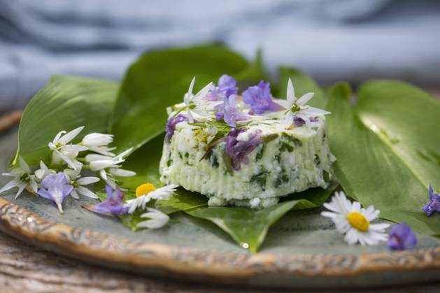 Wilder Garlic, Forest garlic, Baer Leeks, Baerlauch, Bears Leeks, Baerenlauch, Forest garlic, Forest Garlic Allium ursinum , Homemade Baerlauch Feta with Gundermann, Goosebumps and Garlic rocket, Germany ramson, buckrams, Wild garlic, Broad leaved garlic, Wood garlic, Bear leek, Bear S garlic Al Copyright: xblickwinkel F.xHeckerx