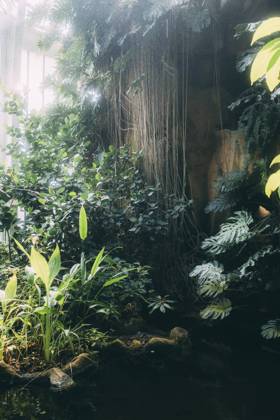 Travel Paris Paris, 18 05 23 greenhouses in the jardin des plantes, Paris is one of the most beautiful and romantic cities in the world,