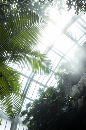 Travel Paris Paris, 18 05 23 greenhouses in the jardin des plantes, Paris is one of the most beautiful and romantic cities in the world,