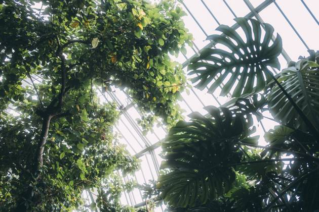 Travel Paris Paris, 18 05 23 greenhouses in the jardin des plantes, Paris is one of the most beautiful and romantic cities in the world,